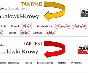 reorganizacja zakładek